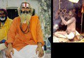 Indian Saddhu