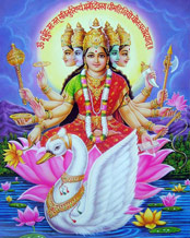 Gayatri
