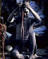 Saddhu